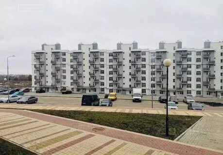 Улитка дубовое