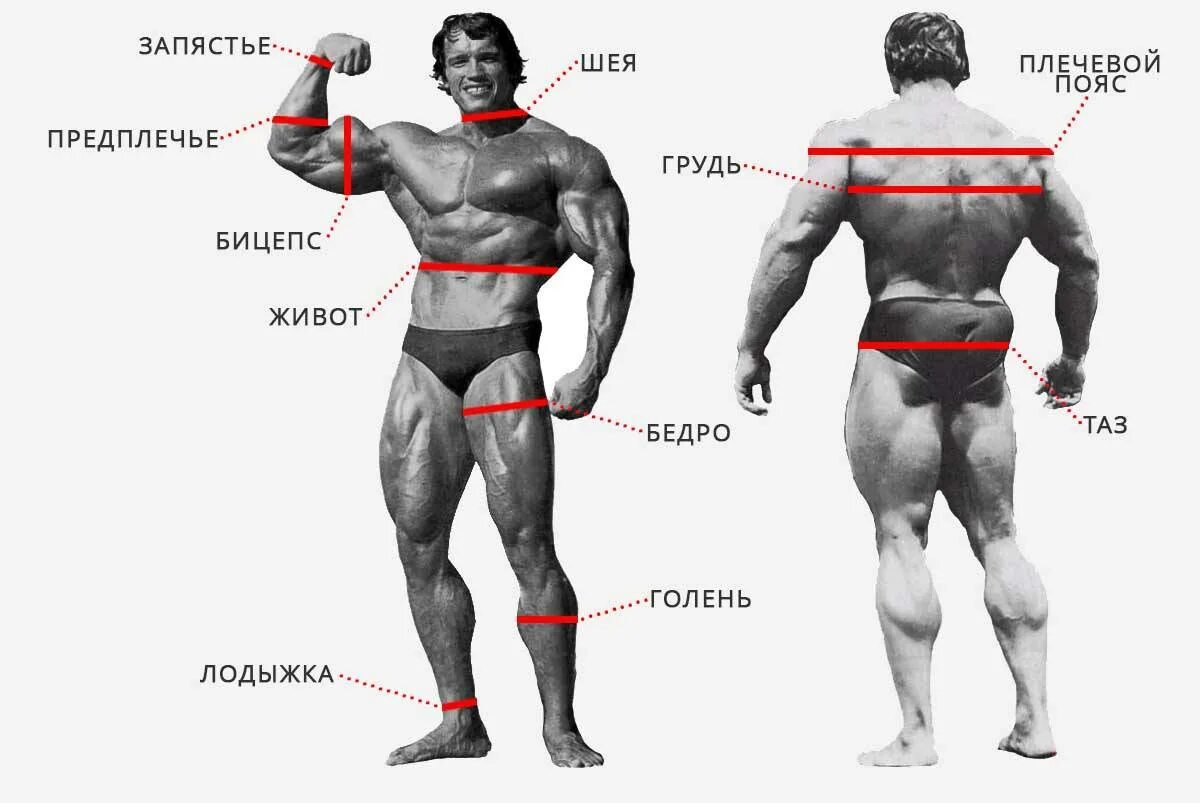 Какой должен быть идеальным