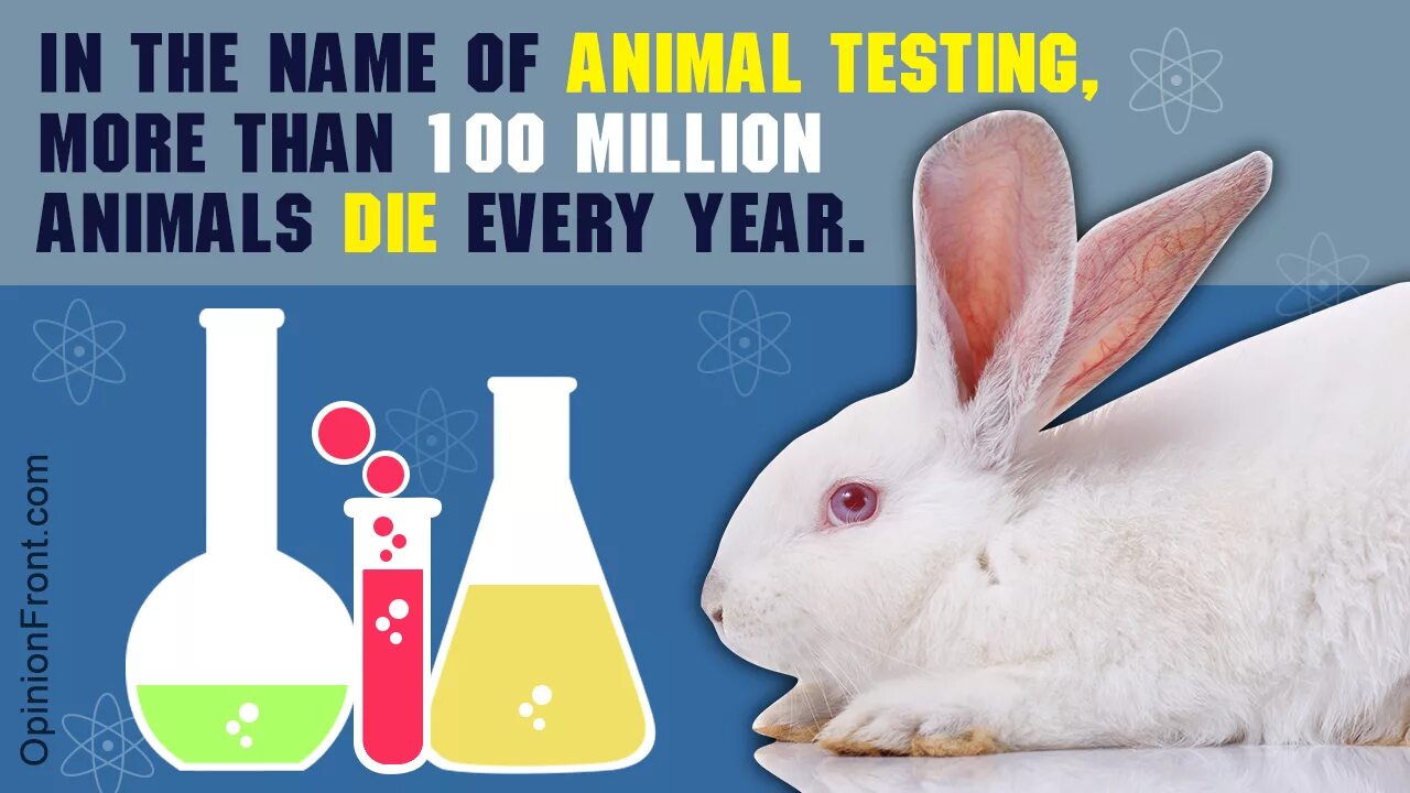 Still testing. Animal testing for and against. опыты на животных обои.