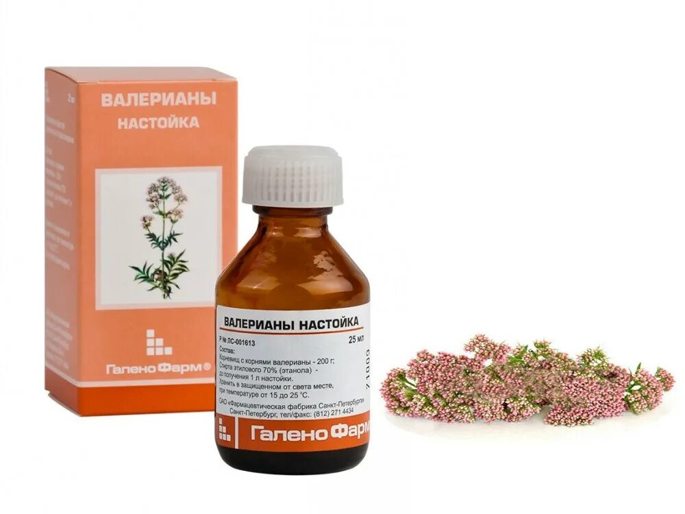 Можно ли валерьянку при гв