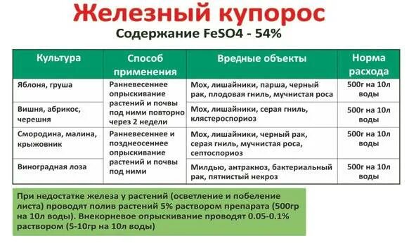 Как разводить железный купорос для опрыскивания деревьев