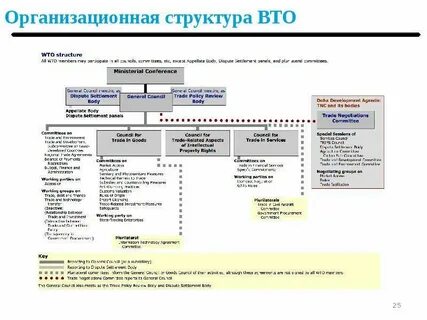 Структура вто