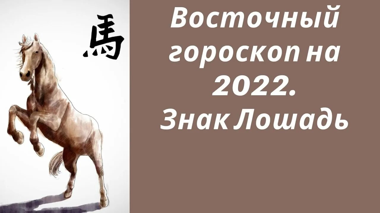 Гороскоп лошади на 2024 год мужчина. Гороскоп лошадь на 2022. Восточный Зодиак лошадь. Гороскоп на завтра лошадь. Китайский гороскоп лошадь.