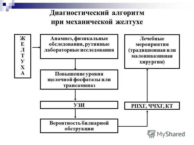 Повышение и прямого и непрямого билирубина в крови. Механическая желтуха диагностика. Механическая желтуха анамнез. Инструментальные исследования печени. Методы диагностики механической желтухи.
