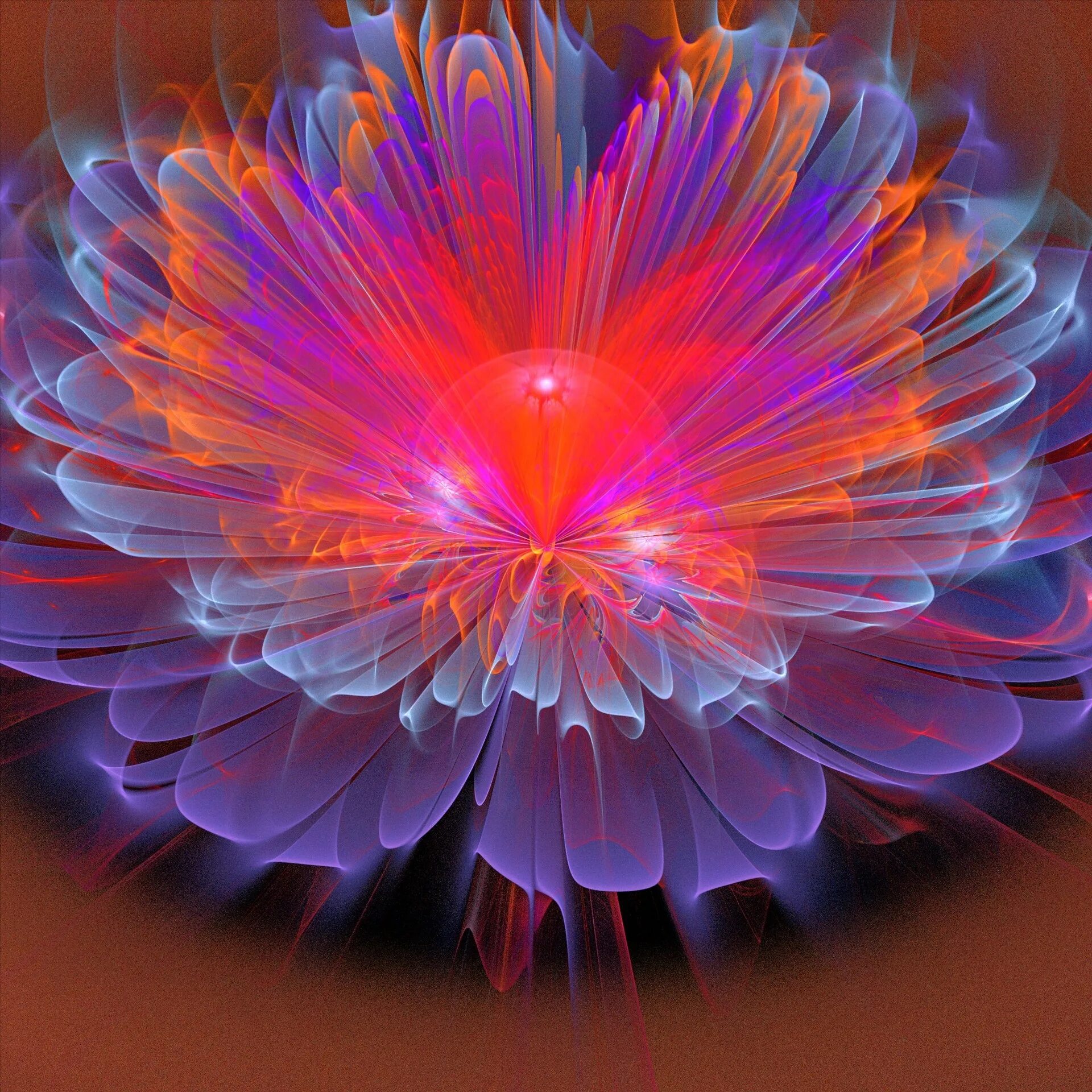 дейл чихули коралловый закат. "сказочный цветок"дианы эловой. красивые растения. фрактал лотос. сказочные цветы фото.