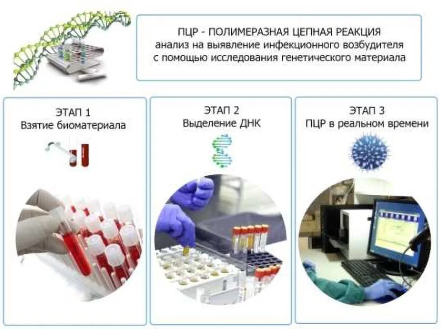 Методом лабораторной пцр диагностики