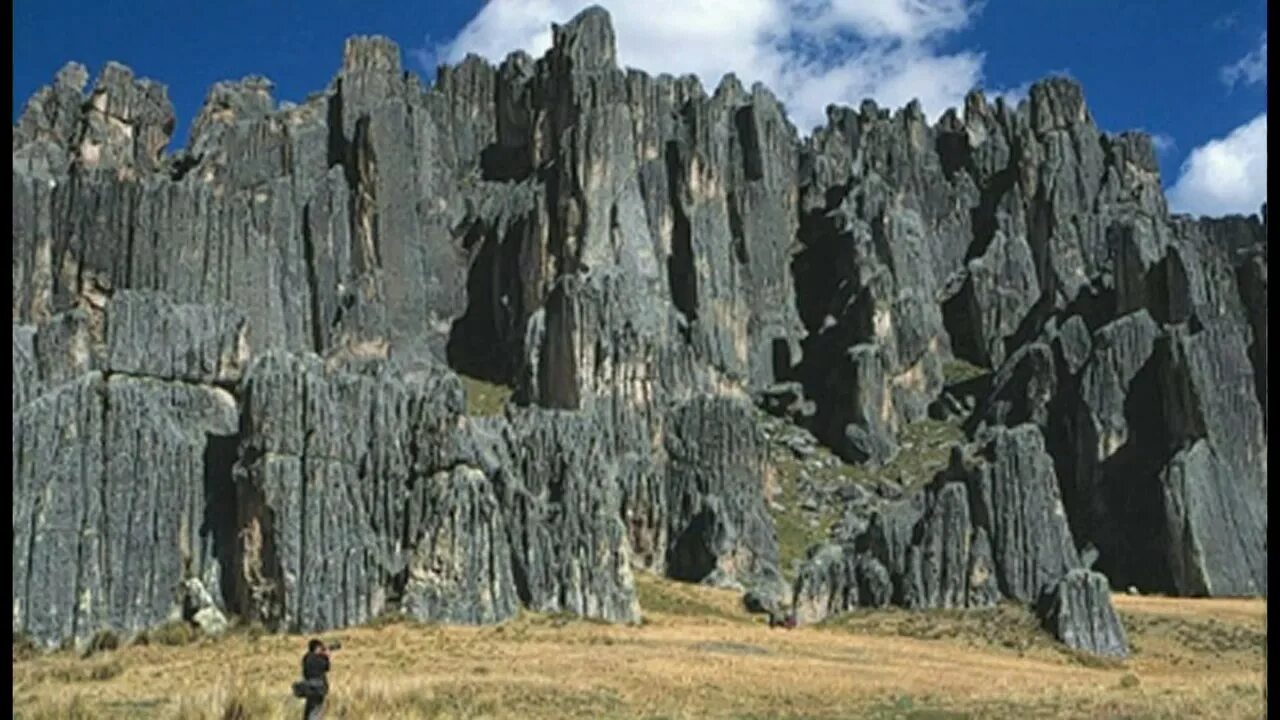 Каменный лес Маркаваси. Плато Маркауаси. Памятники природы и культуры Перу. Каменный лес в Перу.