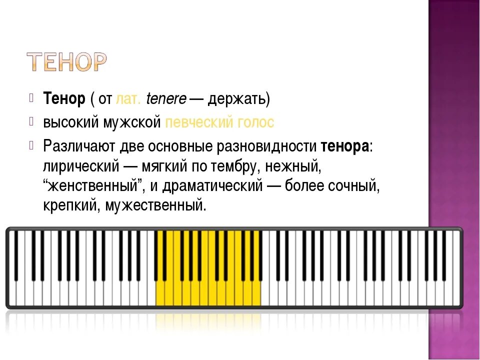 Сколько октав берет. Баритон мужской голос диапазон. Певческие голоса мужские и женские. Тембры женских голосов. Диапазон женских голосов.