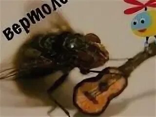 Муха без коробки передач