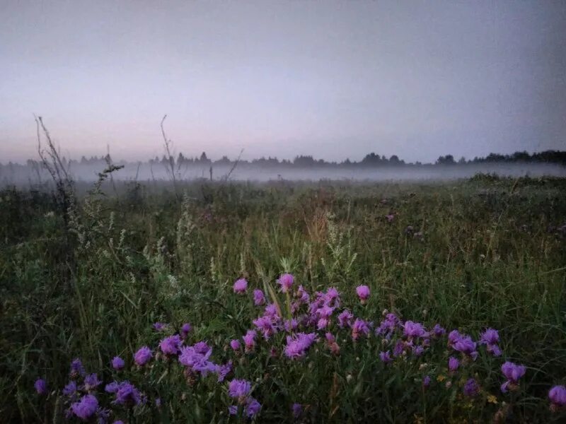 вереница владимирская область