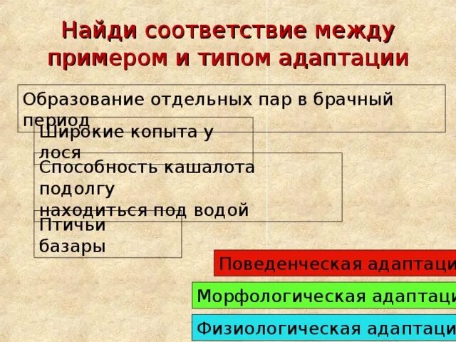 Использование информационных технологий на уроках биологии в условиях модернизац