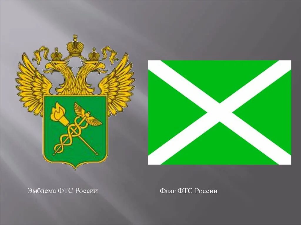Фтс является. Деятельность фтс. Фтс является. Что такое федеративное таможенная служба. Правовой статус фтс россии.