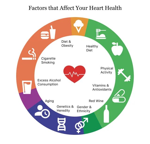 Health risks. Risk Factors for cardiovascular diseases. Health Factor. Risk Factors for Health.