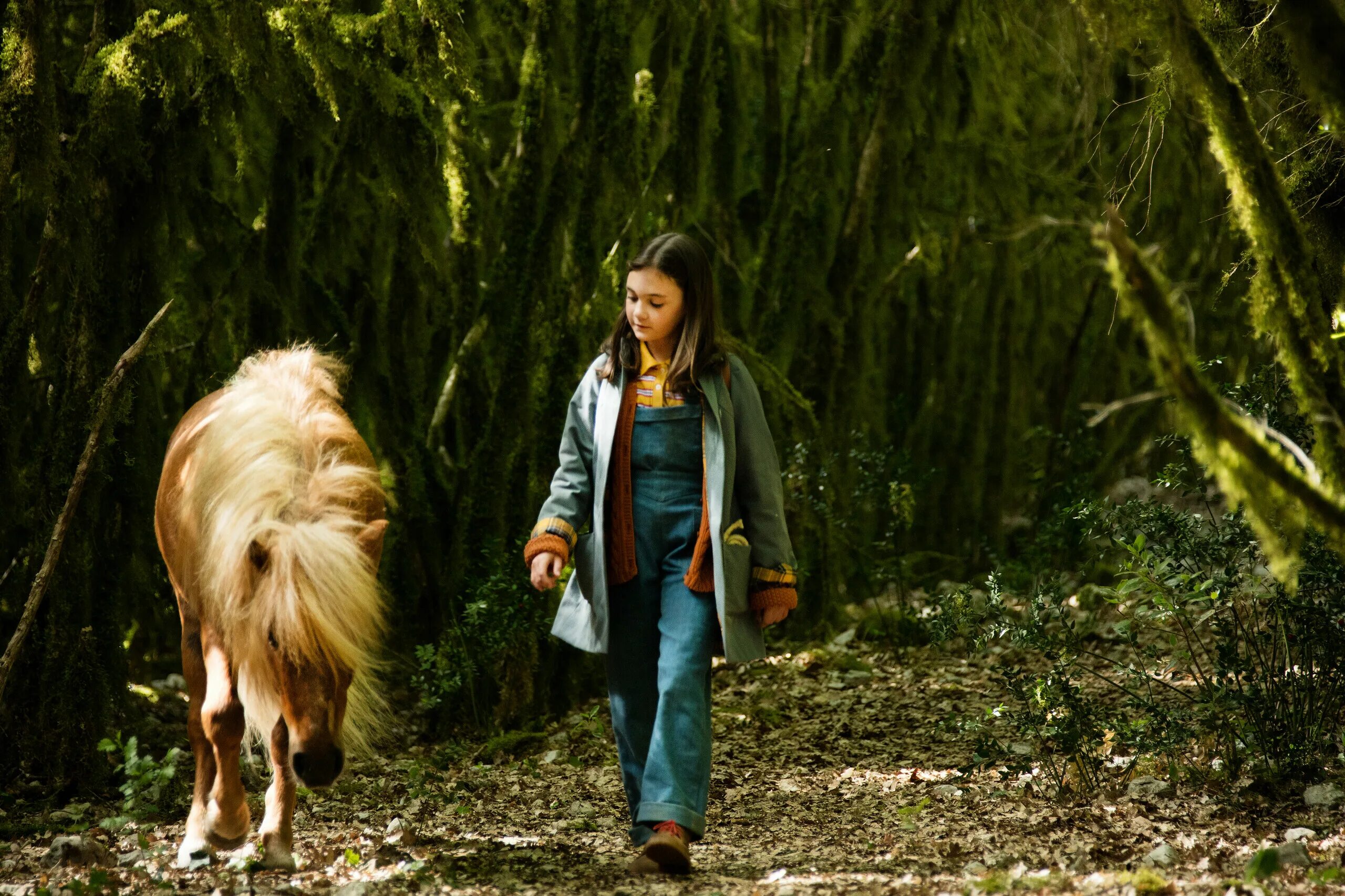 Дата выхода поли. Дата выхода поли. Дата выхода поли. Koreapoly игра. Рыбалка steam 2d.