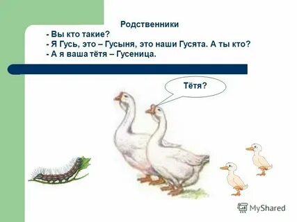 Род слова гусь