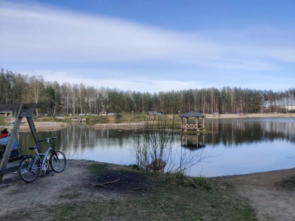 барбекю в саду. барбекю на природе. шашлык. шашлык у мико на выборгском шоссе. шашлык.