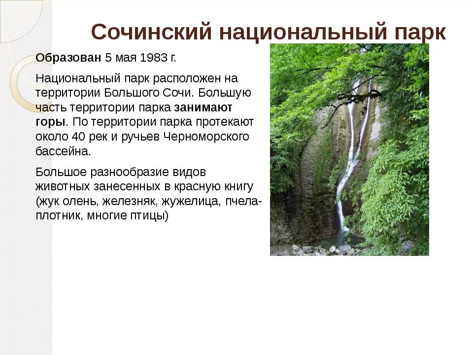 Национальные парки сообщение кратко. Воображаемое путешествие в национальный парк Сочинский. Сочинский национальный парк описание кратко. Сочинский национальный парк сообщение. Сочинский национальный парк рассказ.