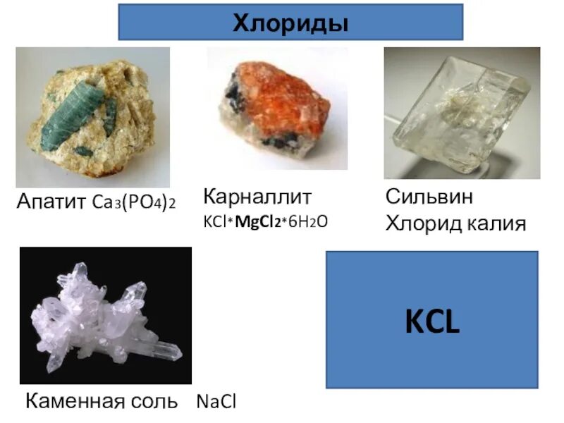 Карналлита KCL·mgcl2·6h2o. Калий минерал. Минералы натрия. Калий в природе встречается в виде. Природные соединения натрия