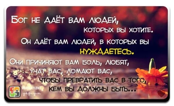 Мир мой дам вам. Мир мой даю вам. Мир оставляю вам, мир мой даю вам. Мир мой даю вам. Мир мой даю вам.