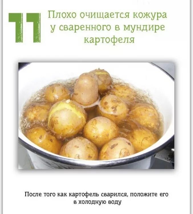 Как отварить картофель в мундире. Полезные советы картинки. как варить картошку в мундире. полезные советы картофель. картофель лайфхак.