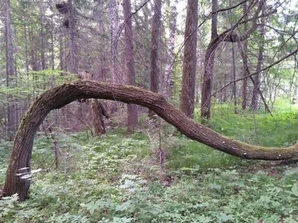 Аномальная зона