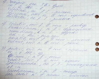 Ю и городкова латинский язык