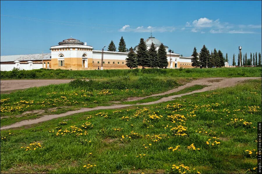 Хреновской конный завод Бобровский район. Хреновской конный завод, село Слобода. Хреновской конный завод Воронежская область. Хреновской конный завод лошади. Село хреновое бобровского