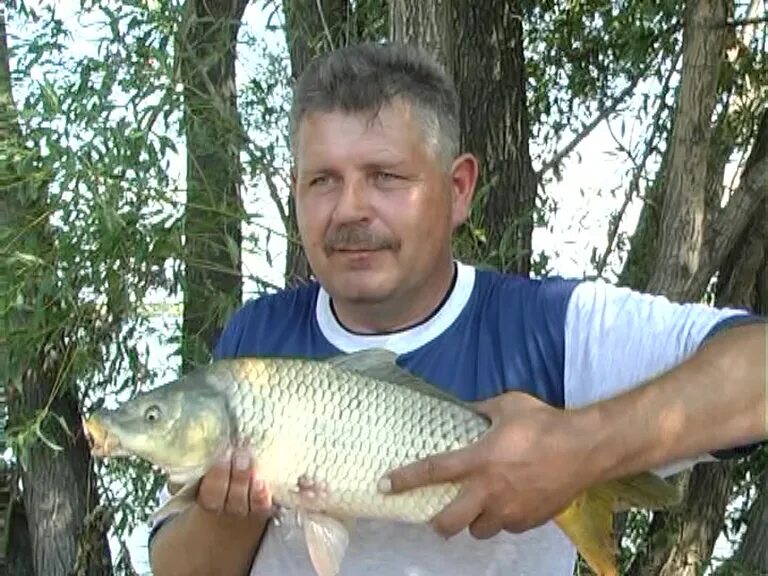 самарский рыболовный портал. самарский рыболовный портал. платные водоемы самарской области. рыбалка на реке самара. самарский рыболовный портал.