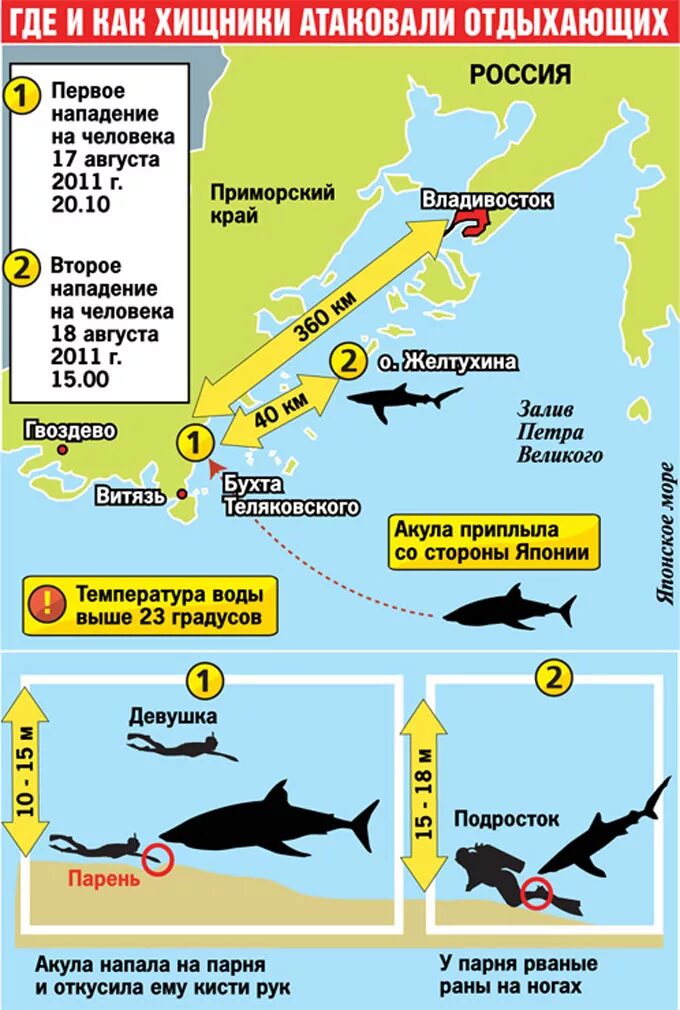 Места нападения. Карта нападения акул. Карта акул в морях. Карта нападения акул в Египте.