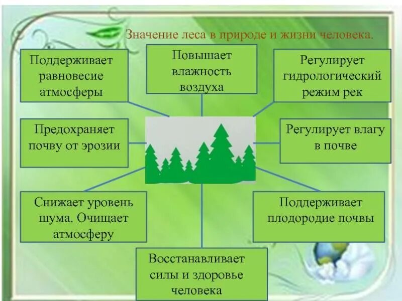 Культура и природа примеры. Значение леса для человека. Роль леса в жизни человека. Роль леса в природе и жизни людей. Значение леса в жизни человека.