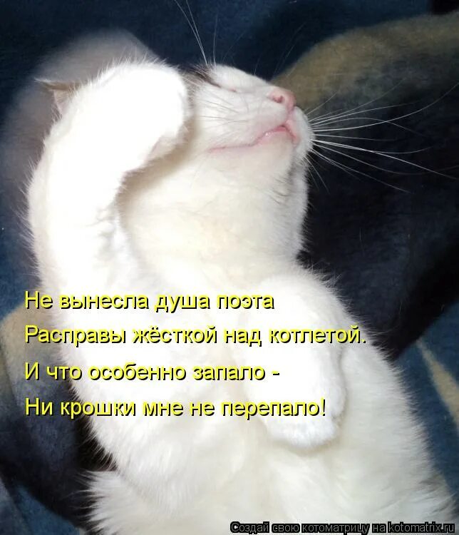 не выдержала душа поэта позора. не вынесла душа поэта позора мелочных обид автор. не вынесла душа. не вынесла душа поэта. не вынесла душа.