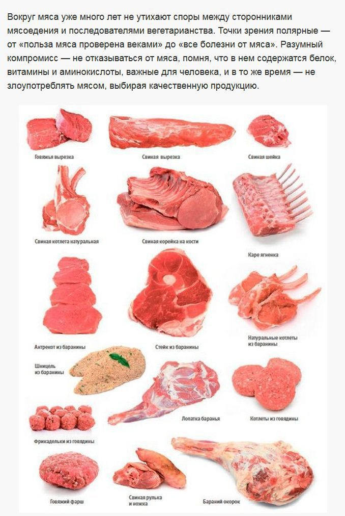 Лучшая часть говядины для шашлыка. Виды мяса. Название мяса. Типы свиного мяса. Виды мяса для шашлыка.