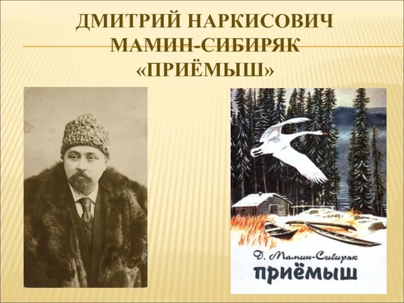 Мамин сибиряк написал приемыш. Биограф. Д. Н. мамин_Сибиряк.