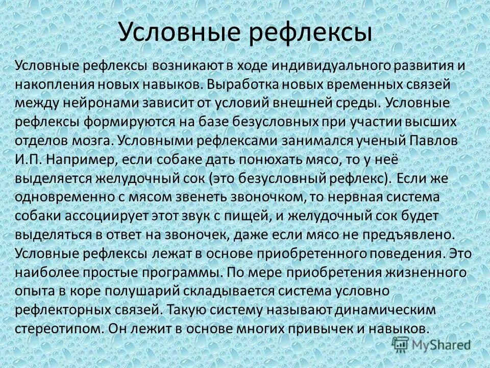 Условные рефлексы возникают