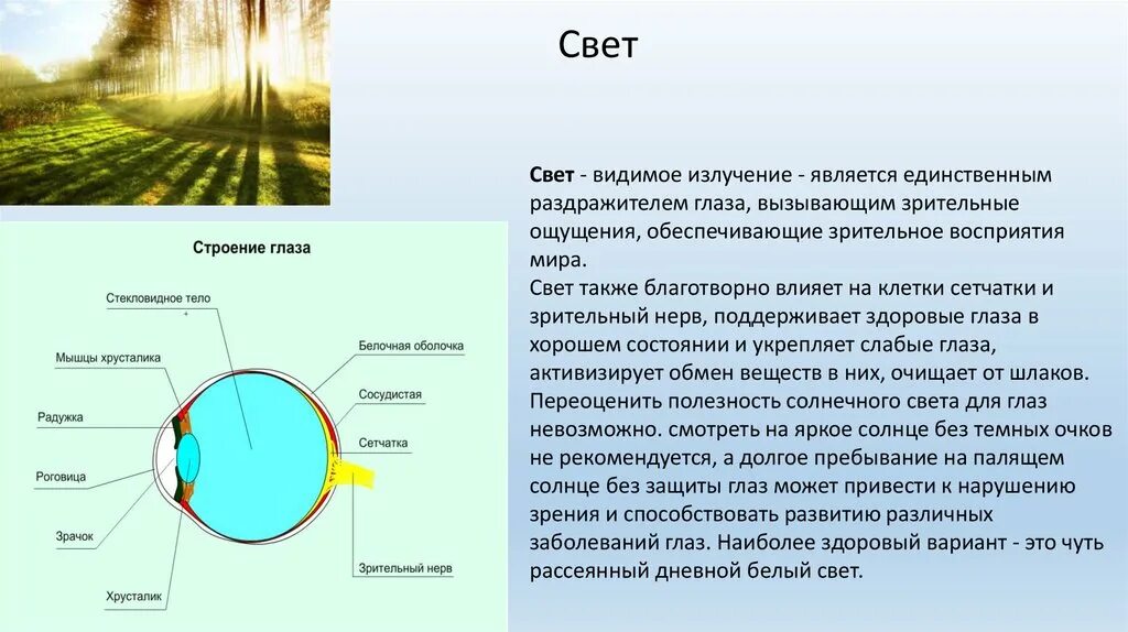 Влияние светового дня на человека. Влияние солнечного света на организм. Влияние солнечного света на человека. Влияние освещения на организм человека. Влияние солнечного излучения на человека.