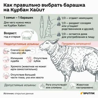 Сколько дней длится курбан