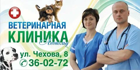 Ветеринар курск