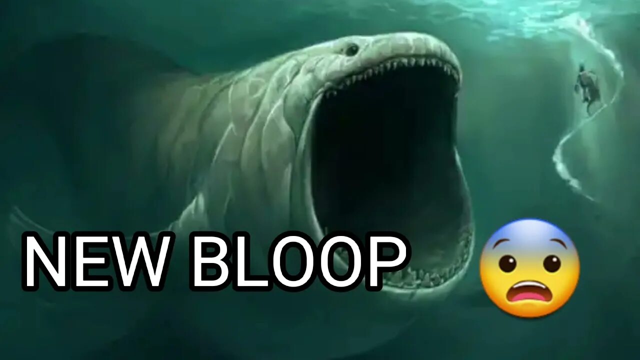 Блуп метры. Блуп рыба монстр. the bloop морской монстр. акула блуп. блуп морское существо.