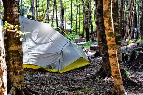 New camping