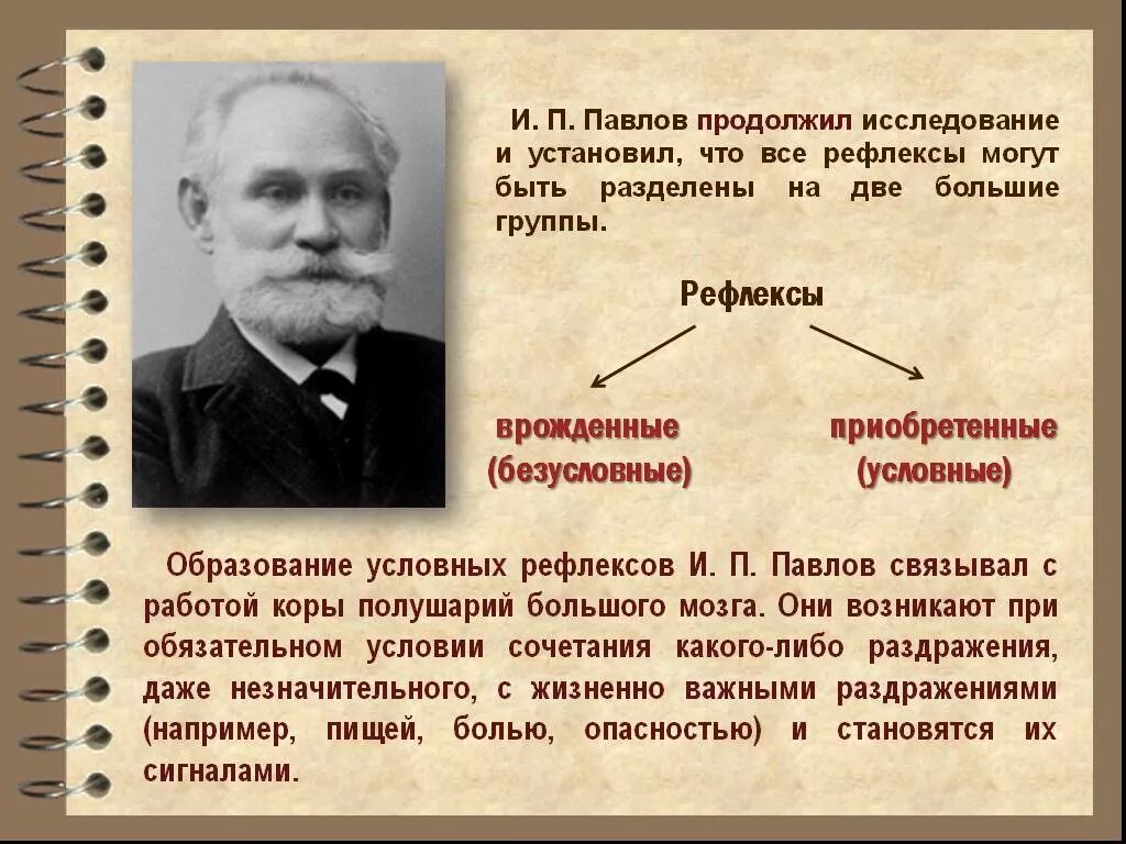 Сообщение вклад отечественных ученых. Drkfl jntxtcndtyysq extys[ d hfphf,jnre extybz j dscitq ythdjq ltzntkmyjcnb. и.п. павлов о высшей нервной деятельности рефлексы. вклад и.п.павлова и и.п. сеченова в разработку учения о внд. учение павлова о рефлексах.