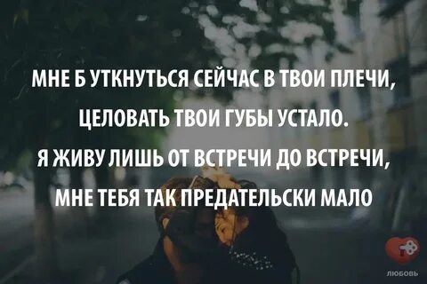 Целую твои губы целую твои плечи
