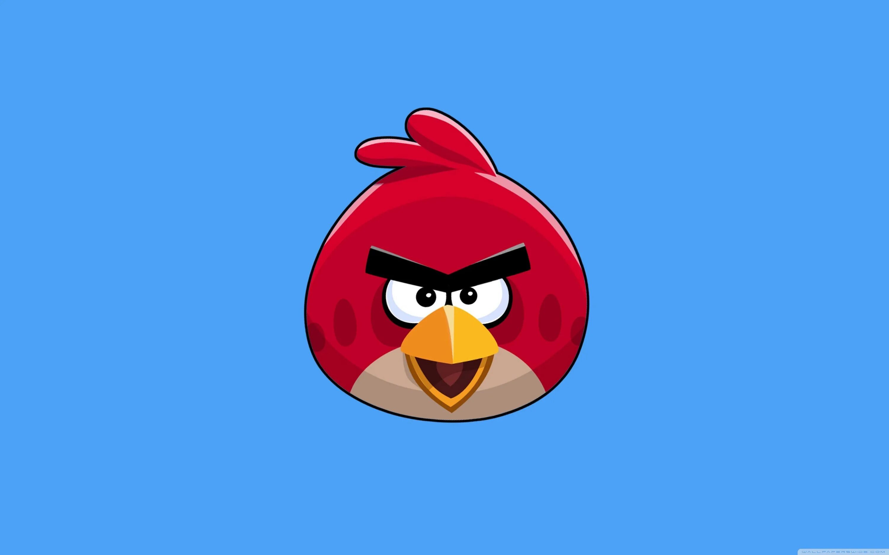Энгри бёрдз злые птички. Игра Angry Birds Red. Ред птичка Энгри бердз. Злая птичка из Энгри бердз.