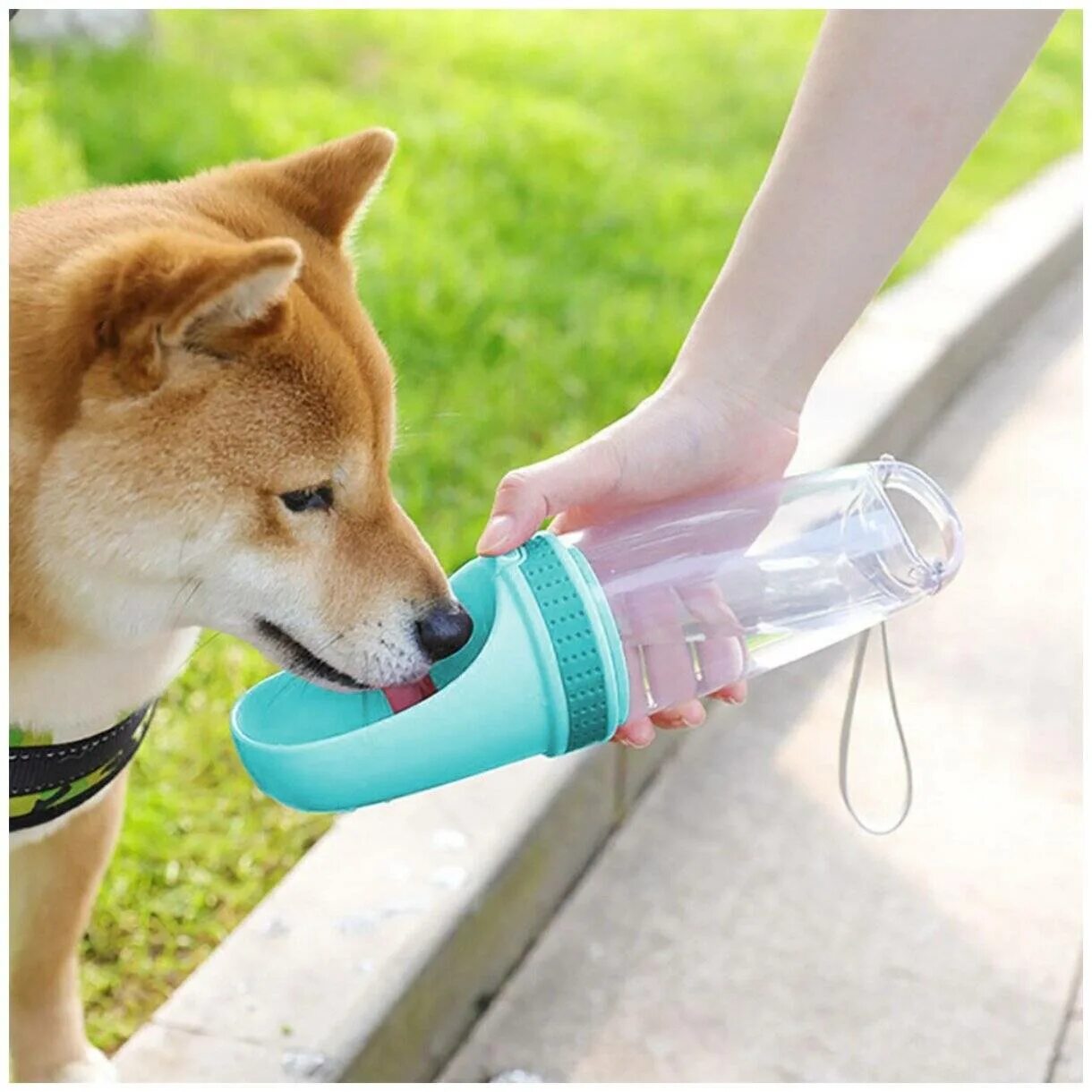Как поить собаку. Портативная поилка для собак. Бутылочка для питья собак. Поильник для собак с бутылкой. Переносная поилка для собак.