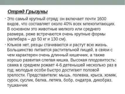Запишите признаки грызунов