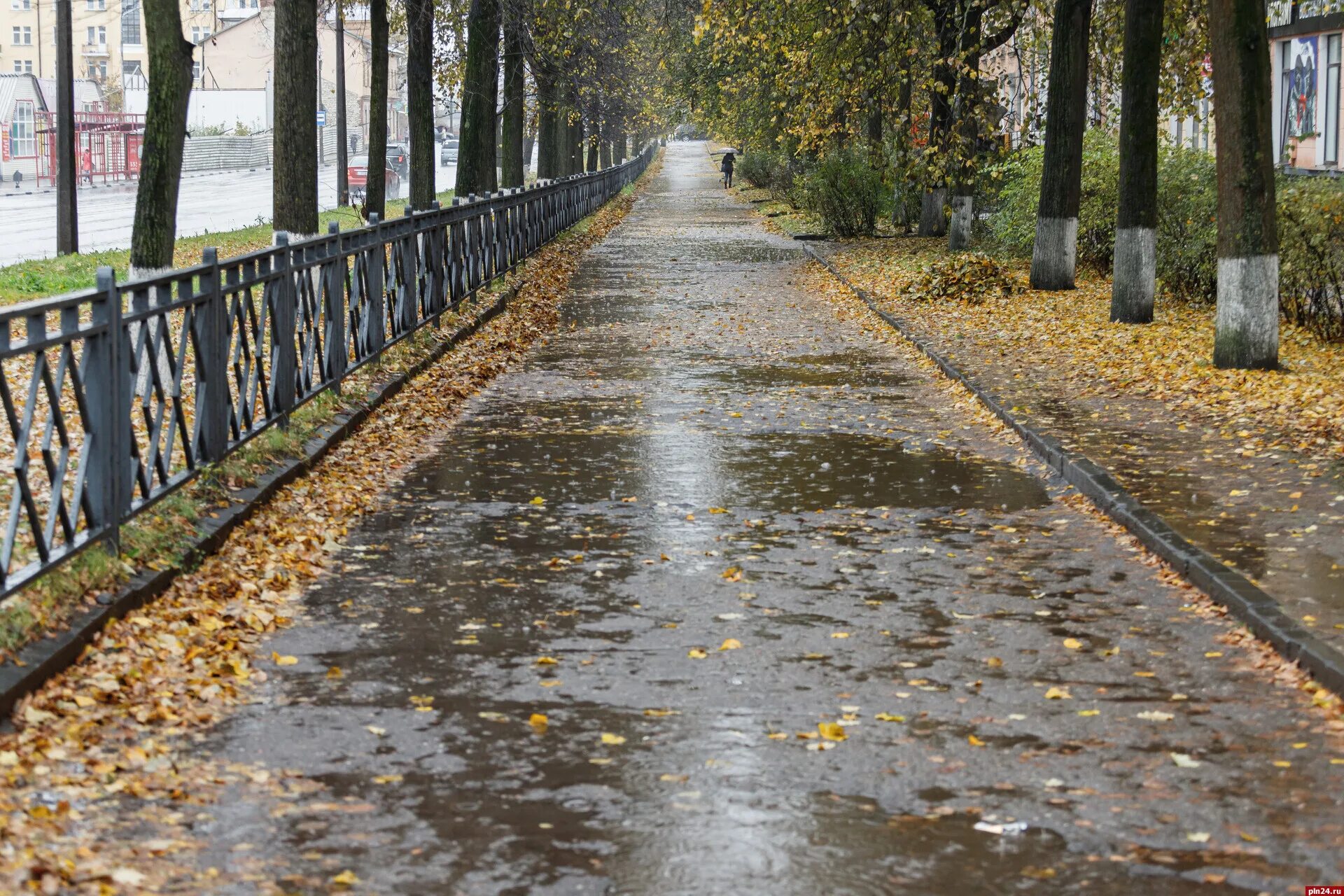 Дождь в пскове сегодня. Дождь в россии. Осадки псков. Осадки псков. Дождь в россии.