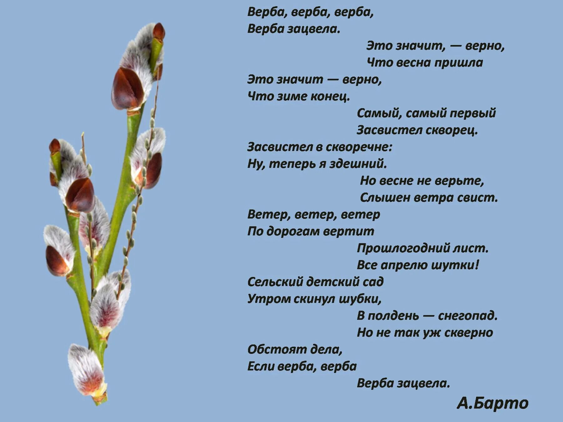 Перечисления апрель. Верба верба верба верба зацвела. барто апрель стих. барто верба верба. верба верба верба верба зацвела это значит верно что весна пришла.