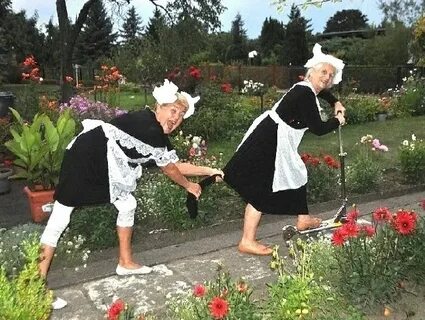Их изучали в школе бабушки