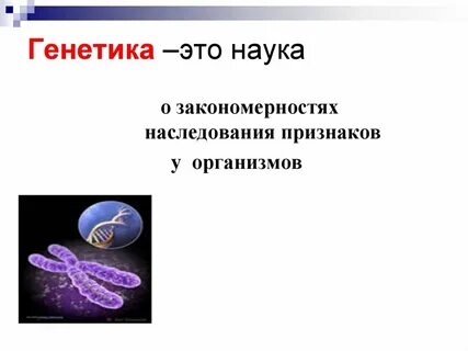 Генетика как отрасль биологической науки