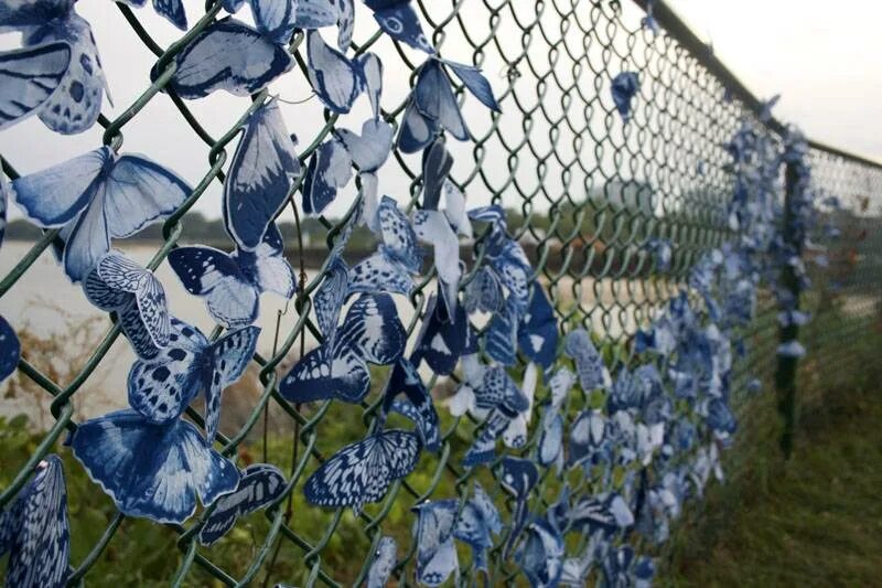 Сетка рабица декор. Украсить забор из сетки рабицы. Как украсить сетку рабицу. Как украсить сетку рабицу. Как украсить сетку рабицу.