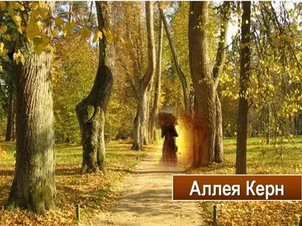 Пастернак аллея